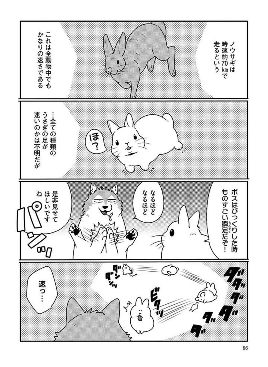 うさぎは正義154話更新されました 
https://t.co/tcixJtAbCE 