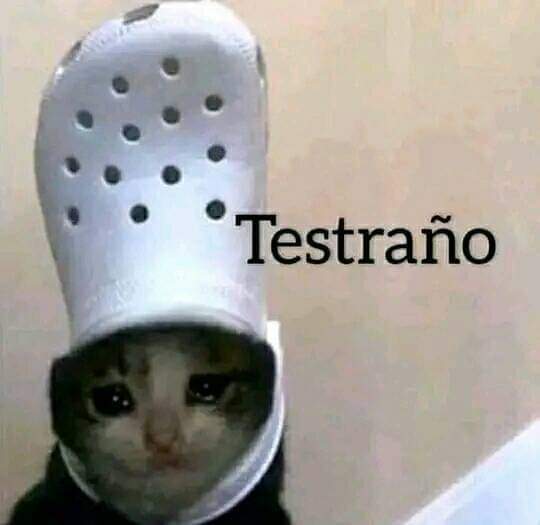gaspodeibarrio's tweet photo. Dejo a mi novia en su casa
- ella mandándome mensaje 40 segundos después https://t.co/JlnaCHkwrk