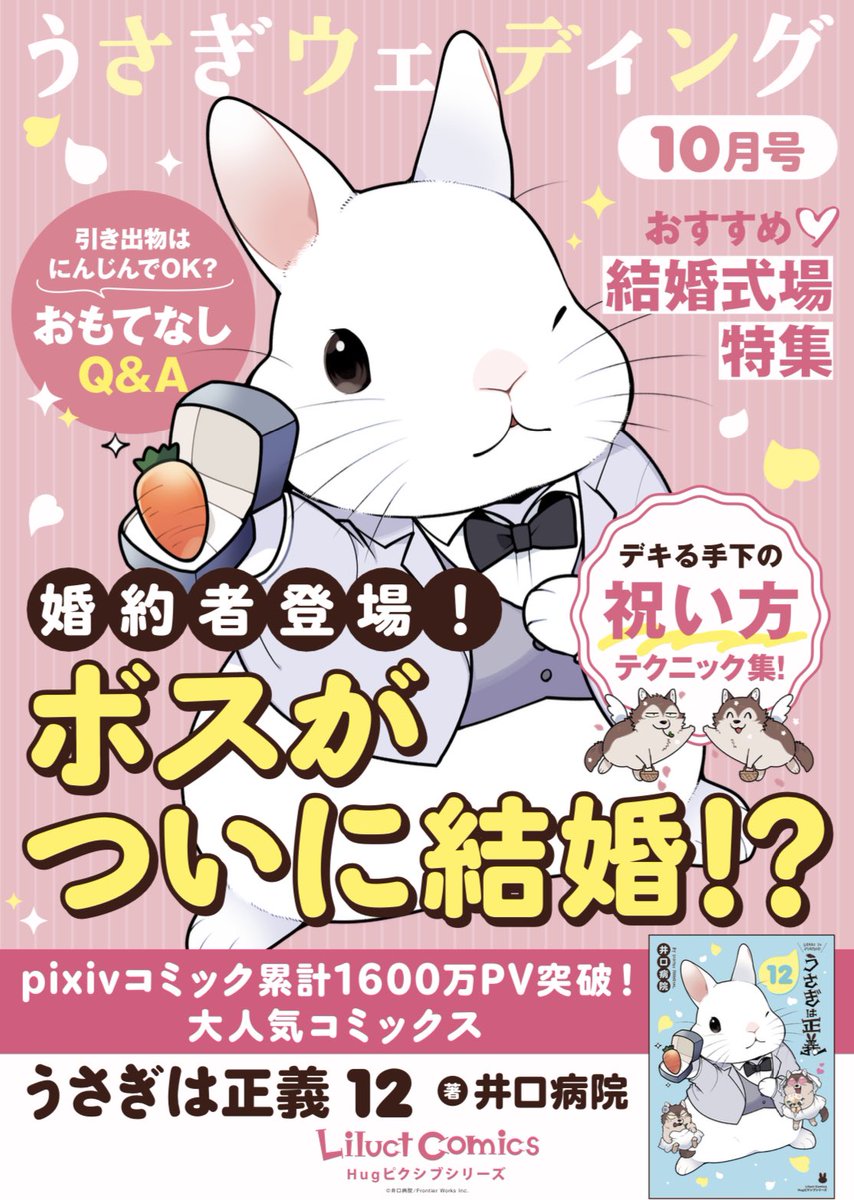 うさぎは正義12巻は10月15日発売です🐰 