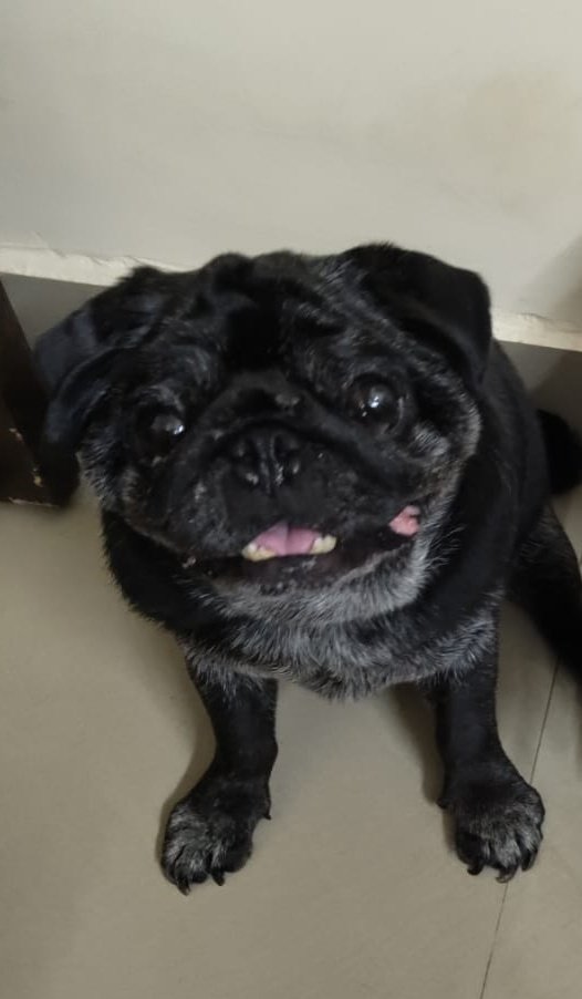 My mom cried so much as prayers worked, I ate and digested little bit, doc says I have critical worm situation in stomach but next 7 days I should pick up, with folded hands we are thankful to all 🙏🙏