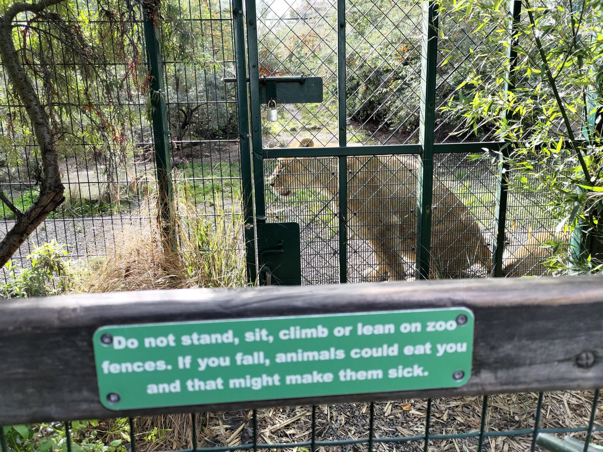 rtgame-daniel-twitchcon-on-twitter-there-s-animal-warnings-in-san