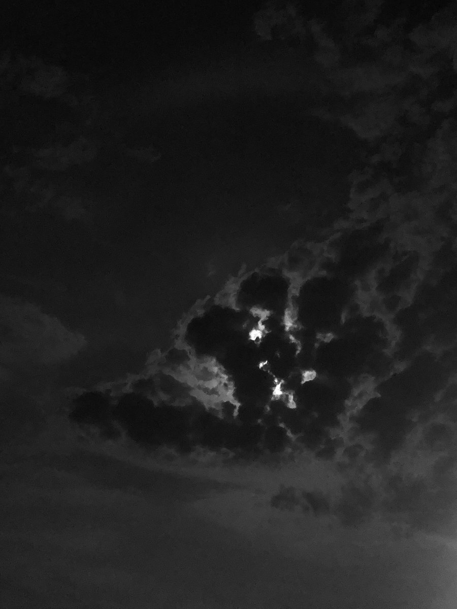 نُـوف tweet media