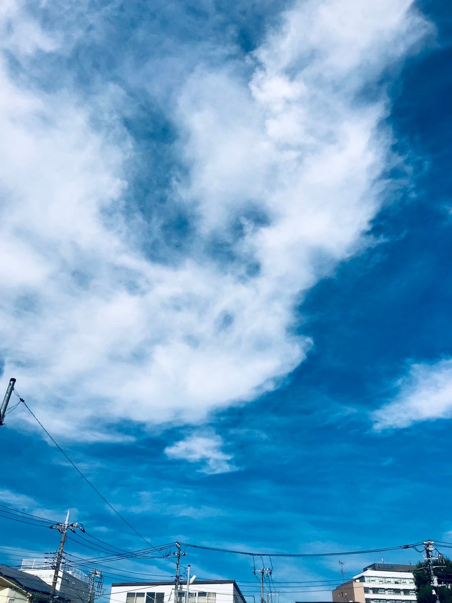 star_field22's tweet photo. 暑い☀️なかなか秋のオシャレができないなあ😁
#秋
#オシャレ
#今日は暑い
#秋空
#キレイな空 https://t.co/wkSyMQDrBG