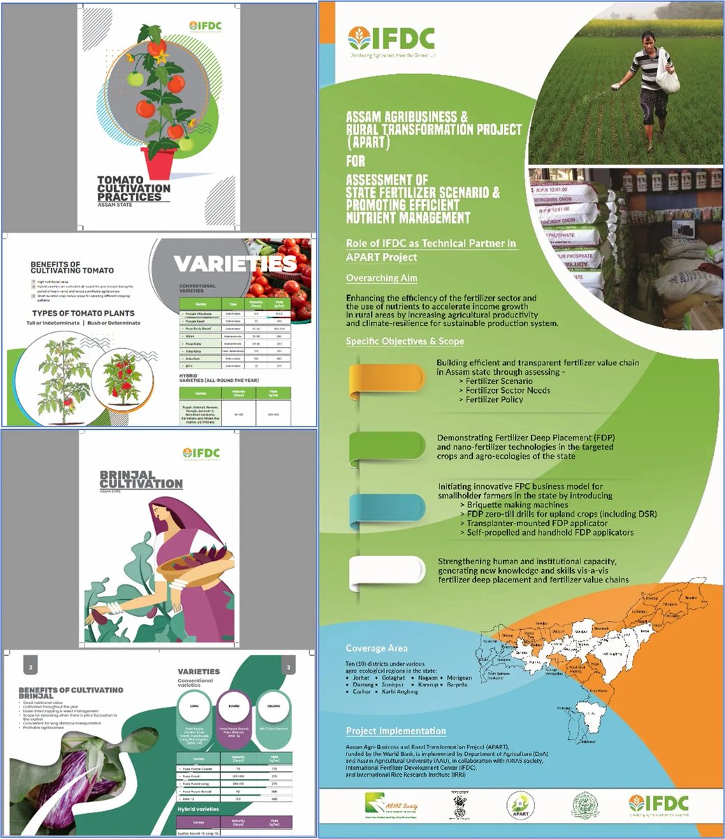 IFDC Asia (ARCHIVED) tweet media