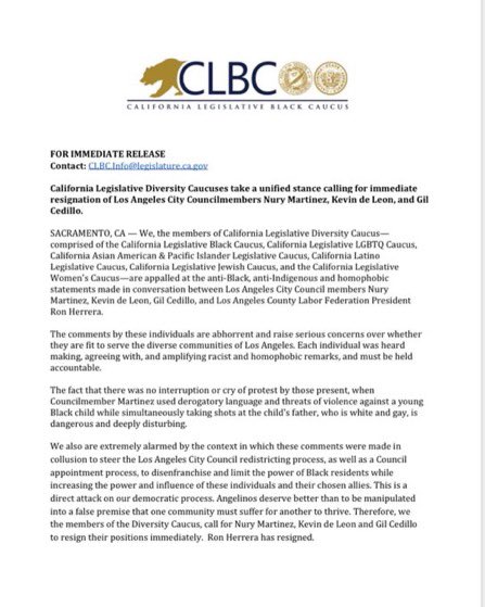 ib2_real's tweet photo. State Legislative Black, LGTBQ, Jewish, AAPI, Latino, and Women’s Caucus Leaders are ALL in solidarity and waiting for resignations. https://t.co/CT7vHkzFf7