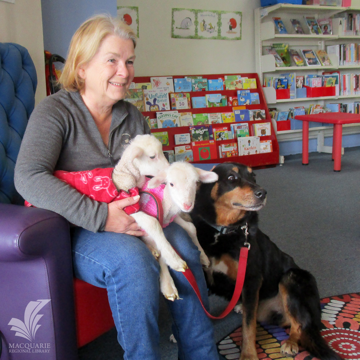 Meet Marie! 👋 Marie is a new Library Assistant at #Coonabarabran Library, and is known to present Storytime with a couple of poddy lambs and a Kelpie in tow.

Drop in to visit Marie at Coonabarabran Library – just one of our 10 library locations.