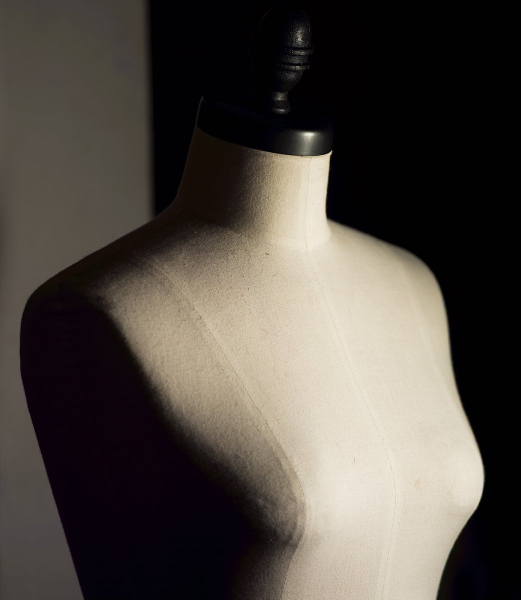 scanner_camera's tweet photo. Torso; Scanner camera, 210mm / f4 https://t.co/OQI4KOKtk3
