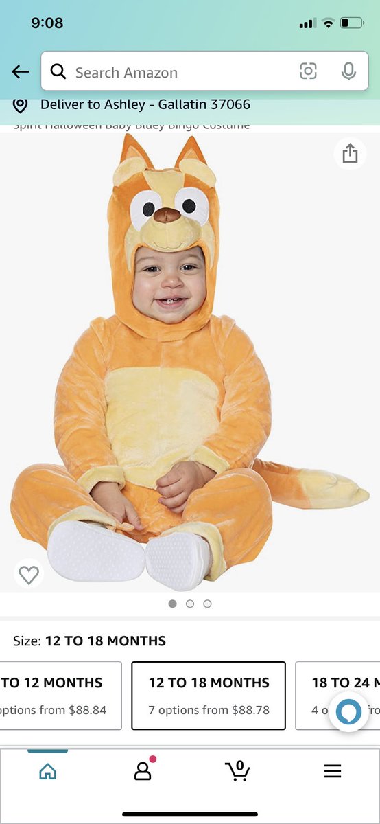 If anyone has this and are willing to part with it, you’d make a 4 year old little girls dream of a Bluey family for Halloween come true!