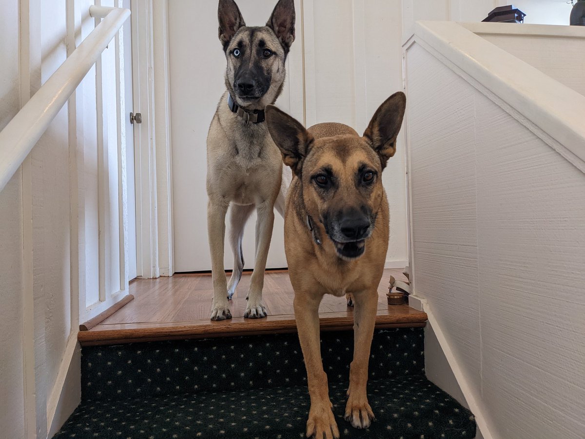 Celebrating two years of great desserts and even better wine, countless pup adventures, a million wonderful memories, and at least a billion more to go with <a href="/CamdenIliff/">Camden Iliff</a>.