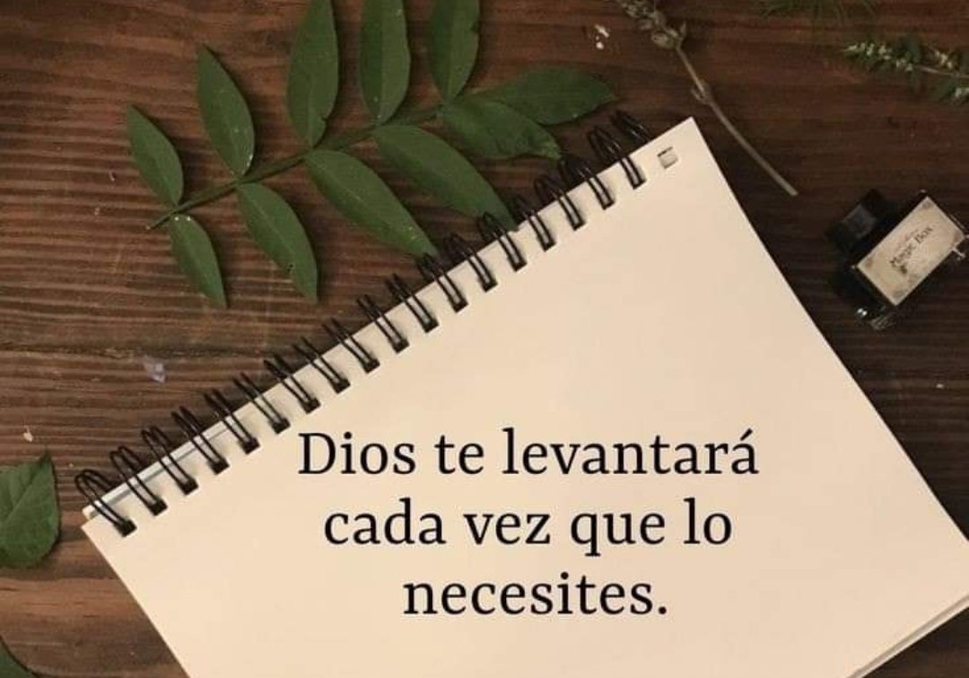 lasnotasdedios's tweet photo. Dios nunca te dejará tirad@, te tomara de la mano y te levantará.
#notasdeDios https://t.co/0IVeRMA0UH