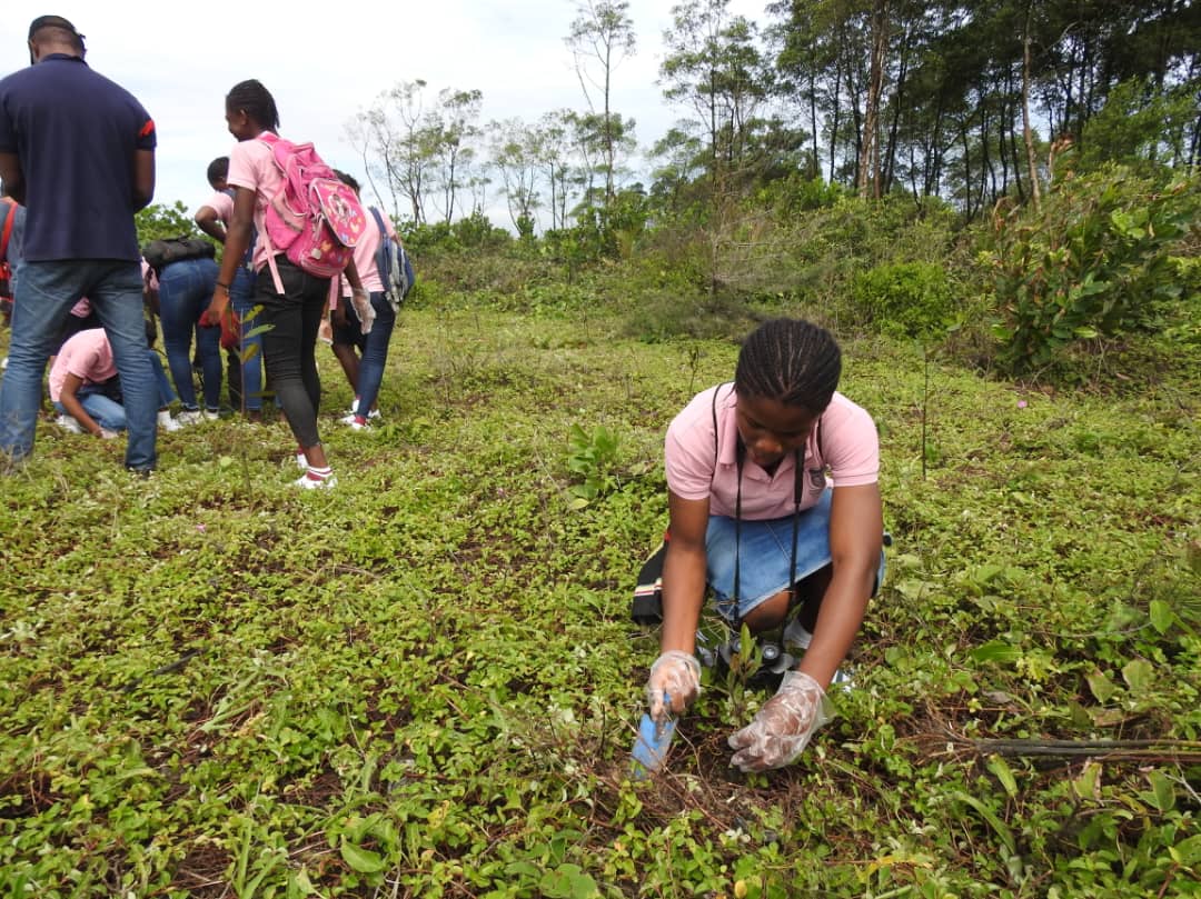 dees_green's tweet photo. The slogan for the 2022 World Migratory Bird Day campaign is “Dim the Lights for Birds at Night!”. We engaged Children and Youth to the awesome bird expedition and tree planting to mark the day. Take action today to protect them. #conservation #birdwatching https://t.co/RV8fm0vx2L