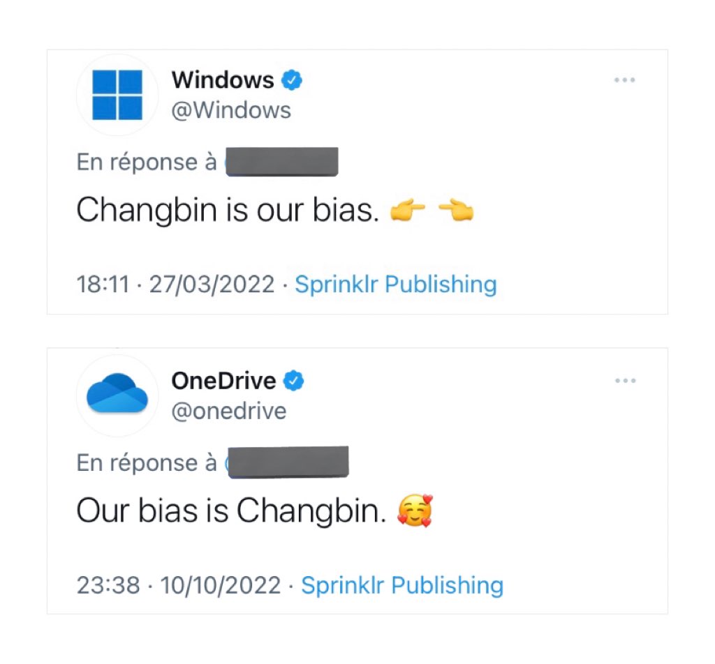 Windows 🤝 One Dive