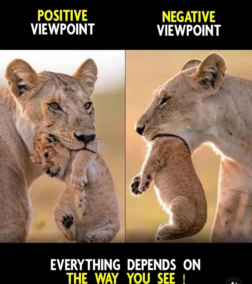 This ...!!!