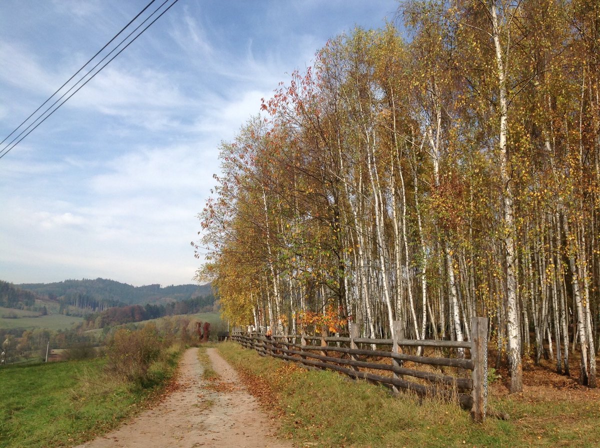 Owl Montains, Góry Sowie, near Nowa Ruda - Low Silesia - from my trip in October 2019

A Good Day ! 💙🍂💙🍁😘👋