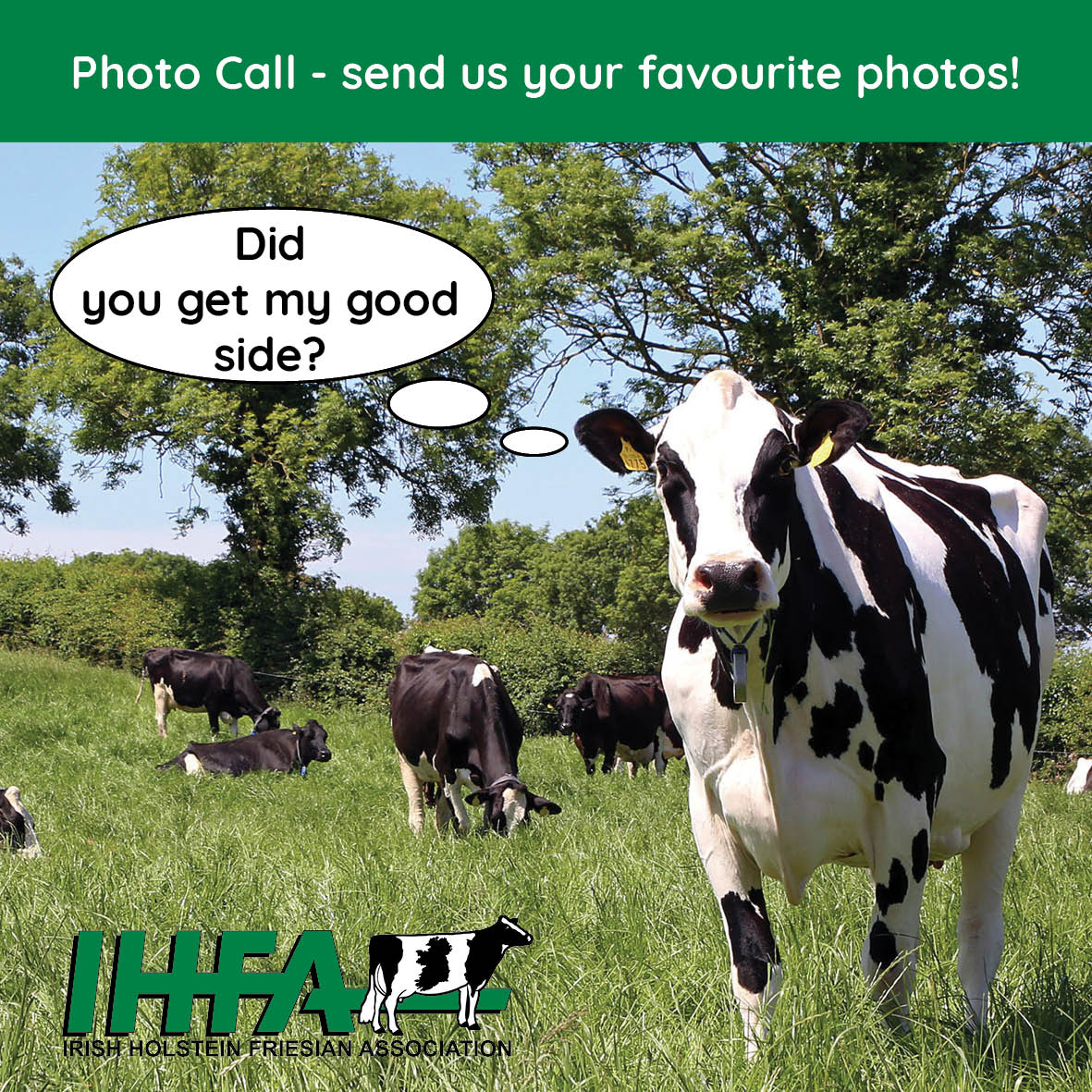 Budding photographer? Or just like taking pictures of nice cows and farming? We want to see your favourite snaps from 2022! Send them in to rwhite@ihfa.ie by Monday 24th of October to be in with a chance to win an IHFA gift bag 🐮 #cows #farming #pictures #snaps