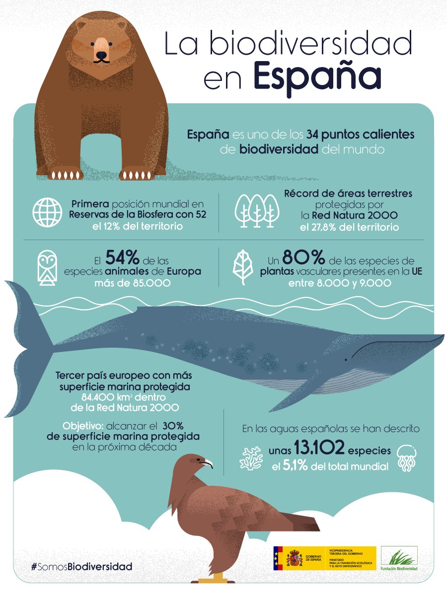 España es un auténtico referente a nivel mundial en cuanto a riqueza y protección de la #biodiversidad.

Un privilegio pero también una importante responsabilidad 💪

#FiestaNacional #12deOctubre #SomosBiodiversidad