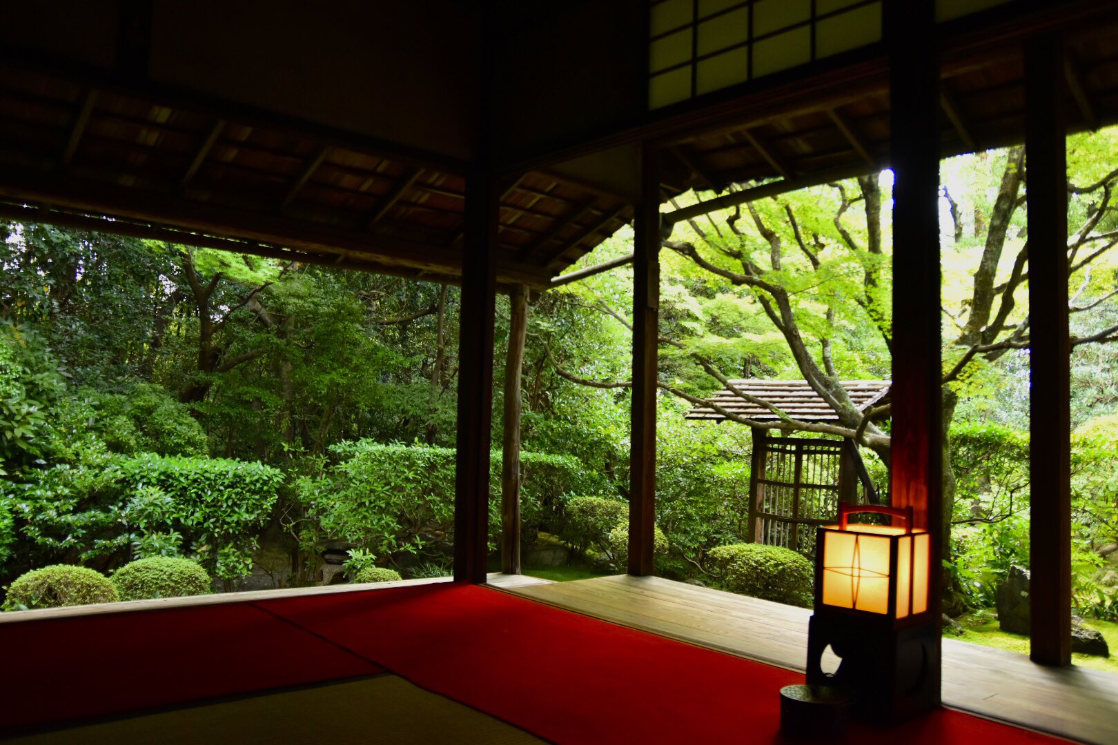 Crocodile 妙心寺 桂春院 桂春院 京都 京都市 京都市右京区 そうだ京都行こう 妙心寺 キリトリセカイ ファインダー越しの私の世界 Nikon Nikond5600 カメラ好きな人と繋がりたい 写真好きな人と繋がりたい T Co Npzp9qgjjk Twitter