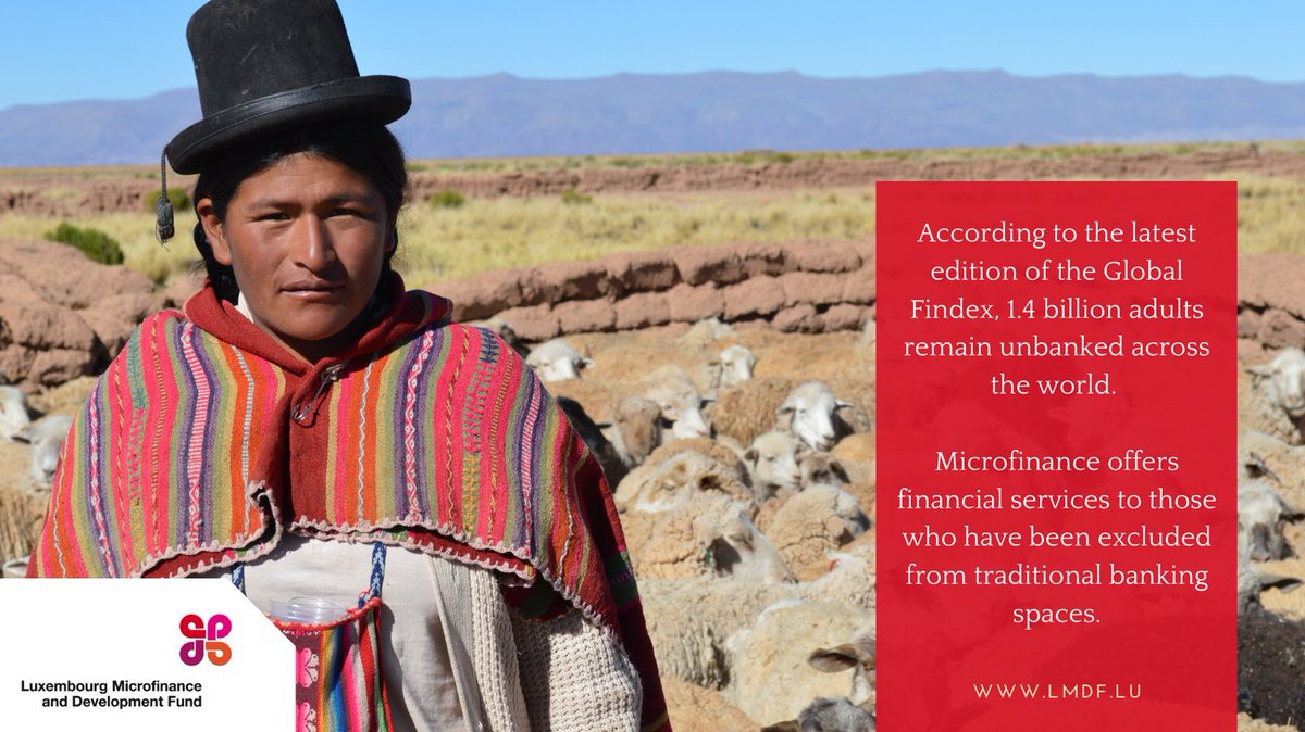 Microfinance is a set of financial products called microcredit, and non-financial products provided to people excluded from the traditional financial system. It generally concerns the poor inhabitants of developing countries [...] shorturl.at/flopV