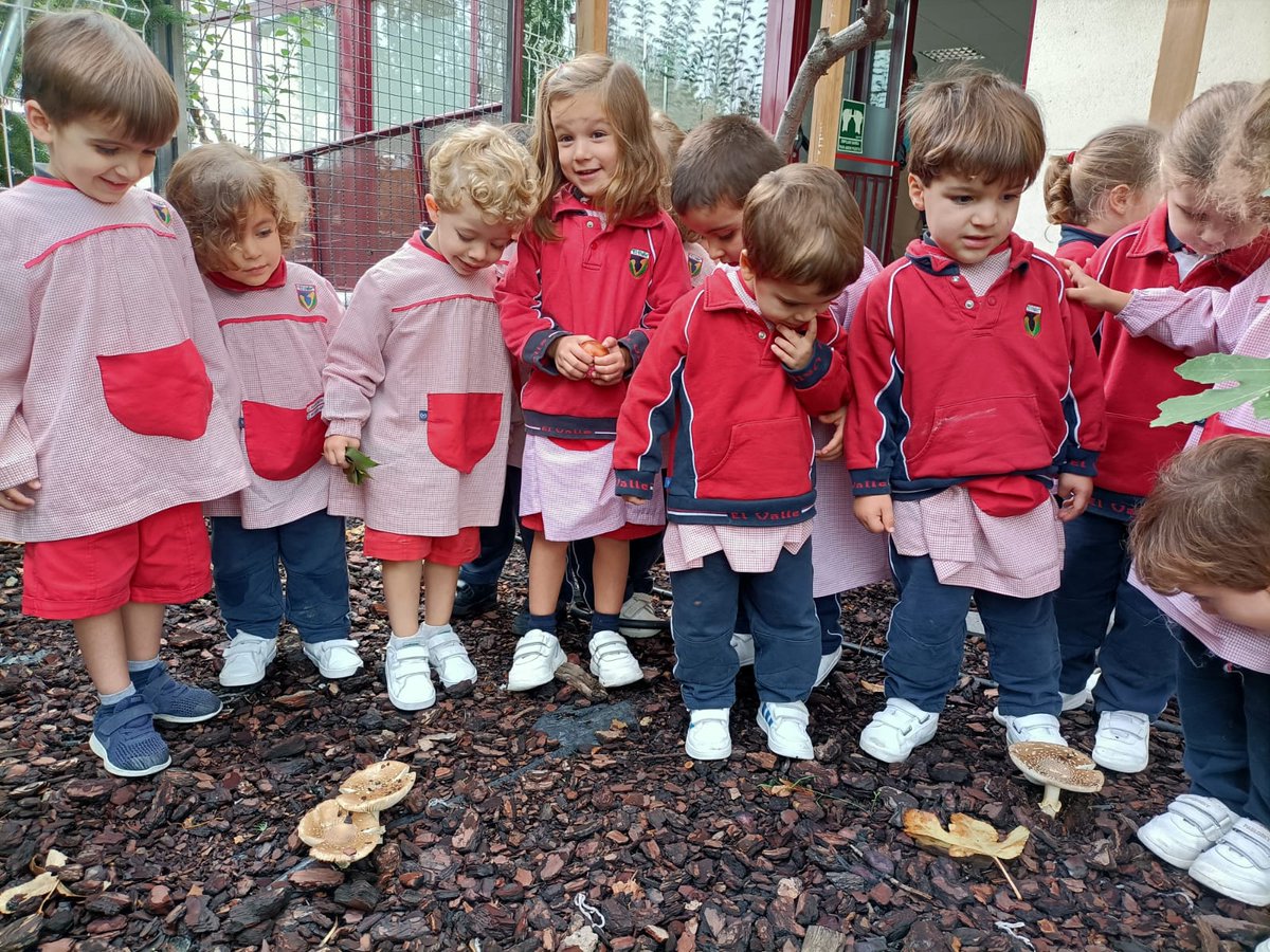 ColegiosElValle's tweet photo. Descubriendo el #otoño🍁 🍄 
#ColegiosElValle #Investigamos #OtoñoenelCole #3INFA #ElValle #LTB https://t.co/zVPK4k8zXS