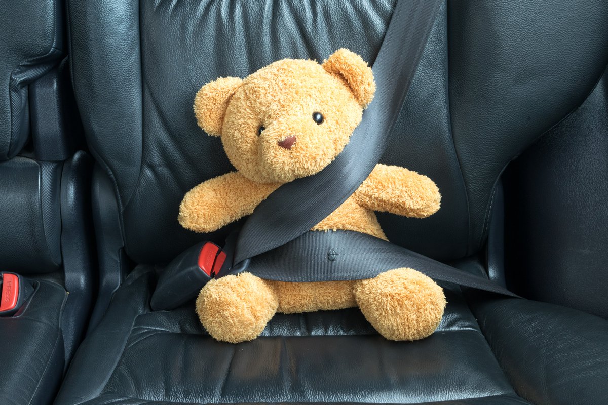 iee_sensing's tweet image. The Seat Belt - so easy to use, so efficient in saving lives, so simple...And yet. Still underrated. No journey without a seat belt is a safe one. #automotive #sensor #SafetyFirst #buckleup 

Find the latest article on our blog: 

👉 bit.ly/3T2tRa2