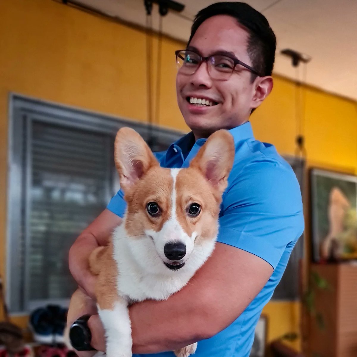AlbertDomingo's tweet photo. Swipe to deploy the #Corgi radar antennae 🐶🐾 #PeachesAndCream @SouthPacCorgis https://t.co/F4z79qy8Q7