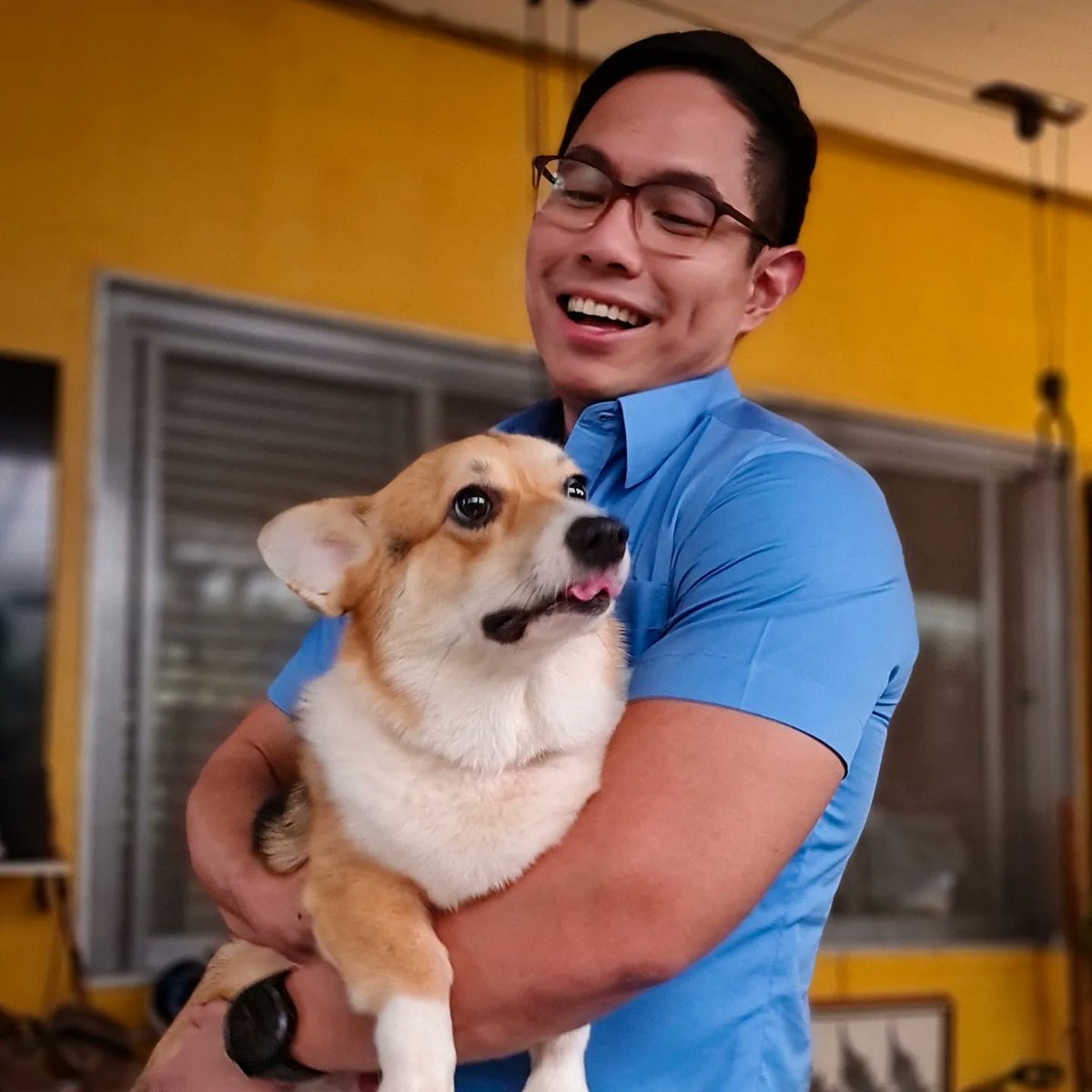 AlbertDomingo's tweet photo. Swipe to deploy the #Corgi radar antennae 🐶🐾 #PeachesAndCream @SouthPacCorgis https://t.co/F4z79qy8Q7
