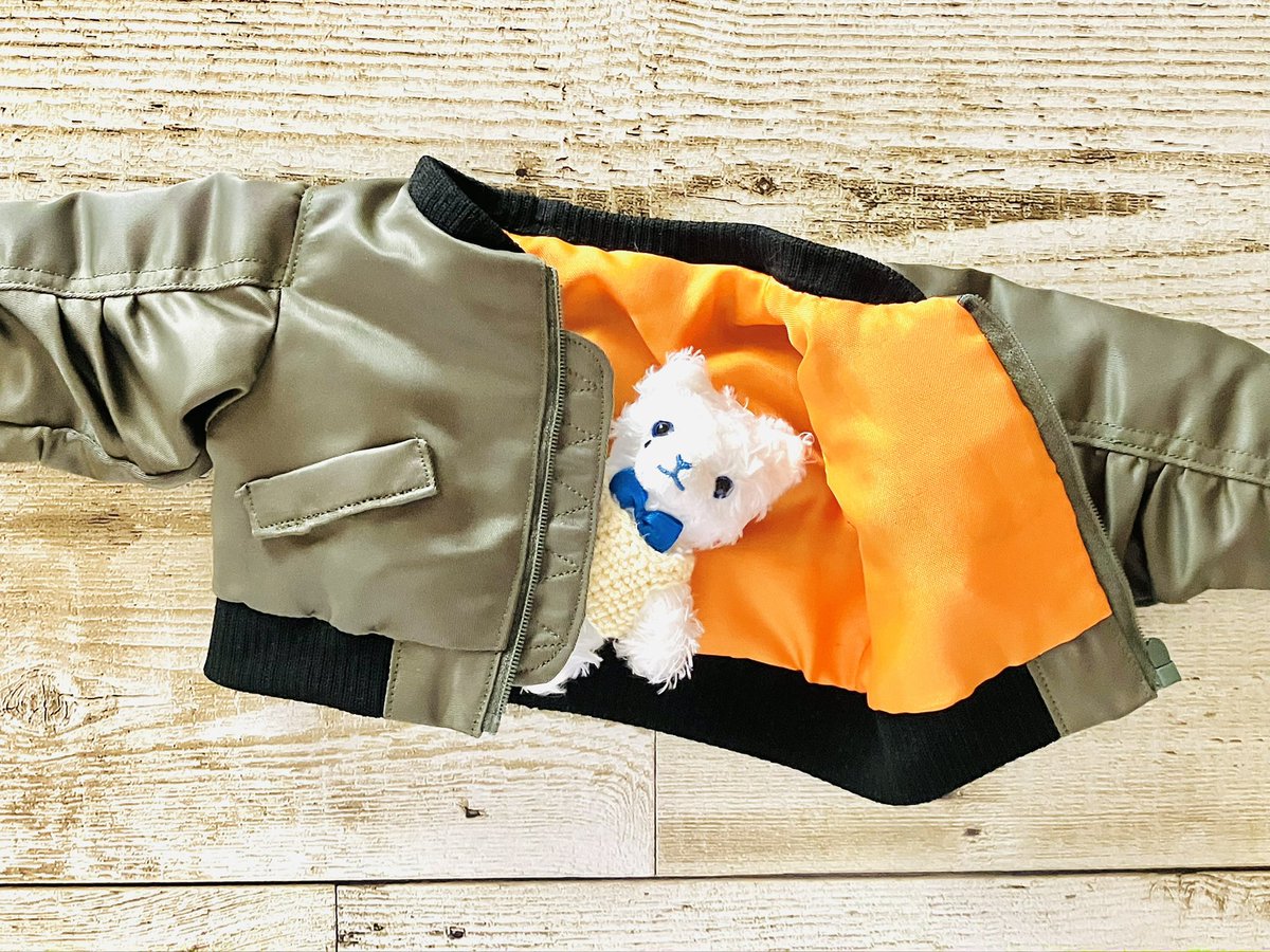 wasachiki's tweet photo. うちのｶｰﾁｬﾝが作ってくれたMA-1も見て～🥺✨
お友達のおうちのアランチャさんとおそろいで作ってもらったよ‼
型紙はぬいぺさん@nuinuipe の有料型紙です💕
母は偉大なり👏👏👏

#うたプリ手芸部
#プリンスキャット https://t.co/j8tsHkPLZd