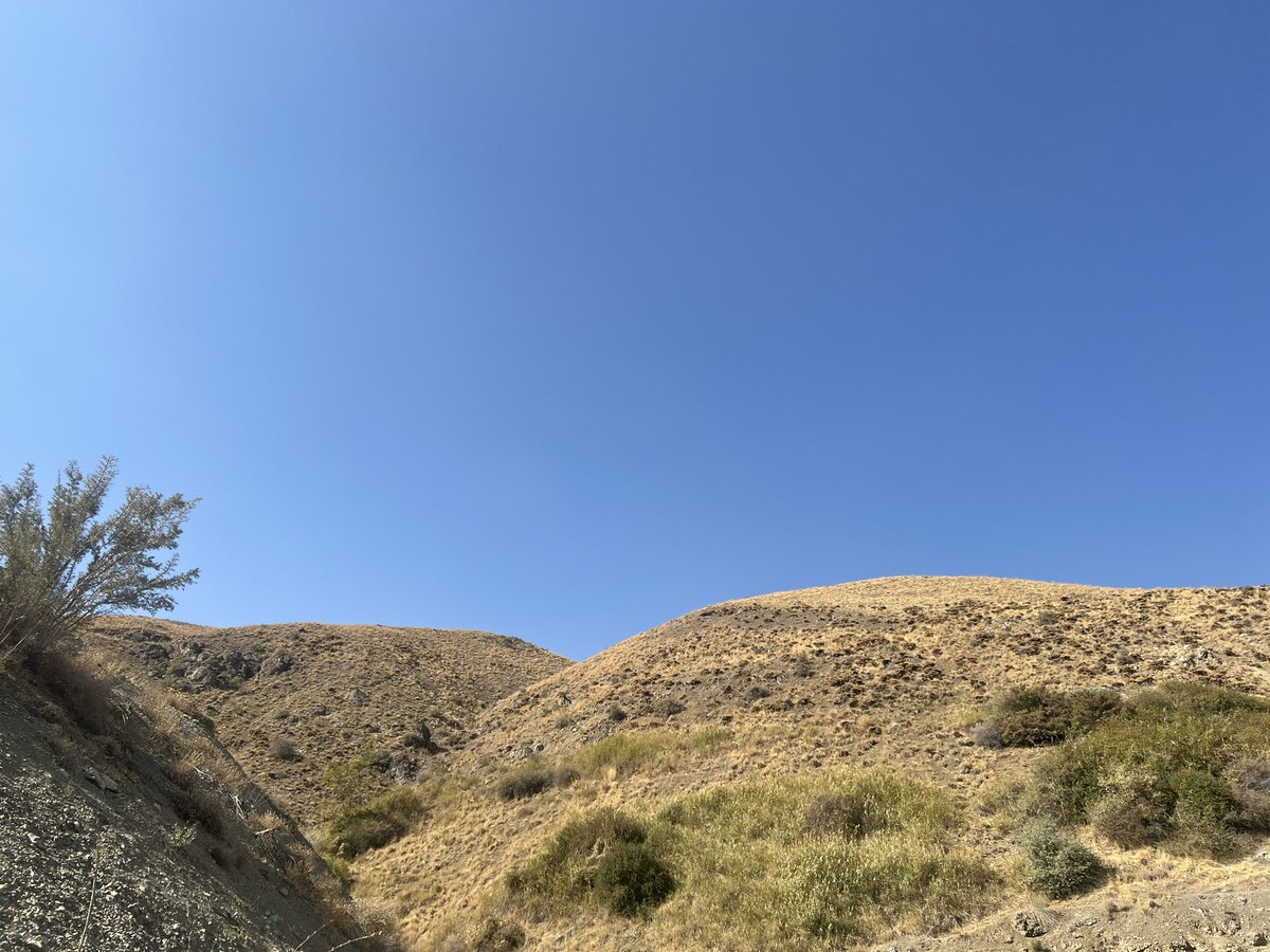 anamzehra86's tweet photo. Hiking Day in Tehran ♥️

#BeautifulMountains ⛰🗻
#ChroniclesofIran 🇮🇷 https://t.co/V8tCKo7KiV