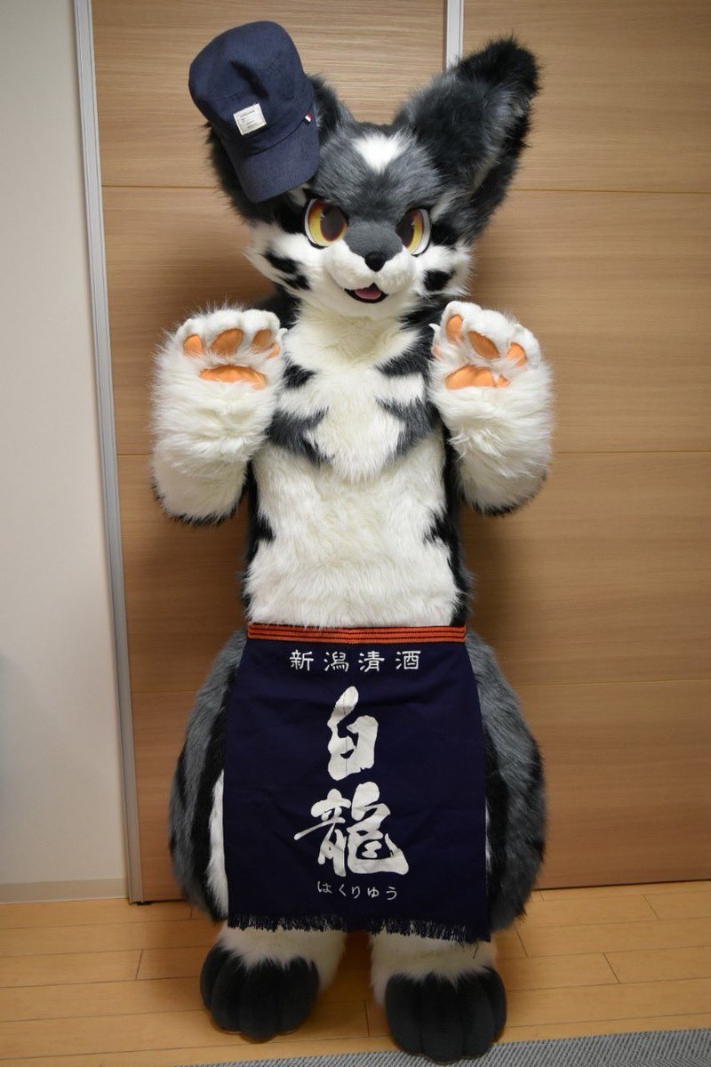 54osoAg0ap's tweet photo. 居酒屋店長ミダンくん
 #FursuitEveryday https://t.co/vAi0BaFNKG