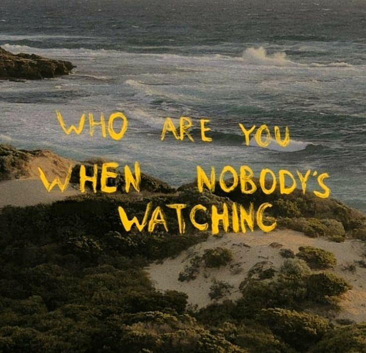 poetical photos. (@poeticalphotos) on Twitter photo 