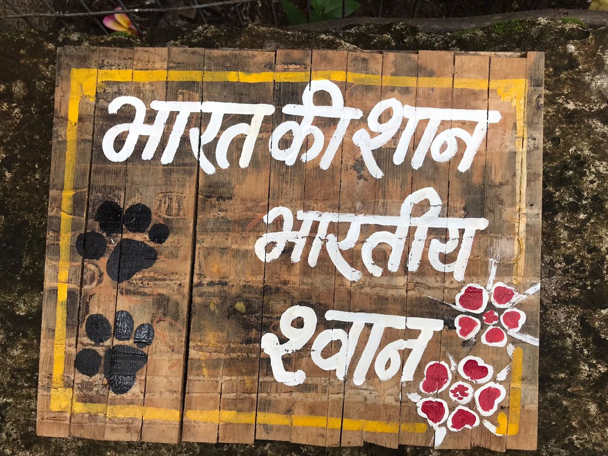<a href="/narendramodi/">Narendra Modi</a> काल भैरव की नगरी उज्जैन में आपका स्वागत है… इस शहर के बेज़ुबान आस लगाए बैठे है और पूछ रहे है “प्रधानमंत्री जी उज्जैन आये, हमारे लिए क्या तोहफ़ा लाये”
उज्जैन के स्ट्रीट Dogs के लिए कोई योजना और तोहफ़ा अवश्य घोषित कीजिएगा, काल भैरव प्रसन्न हो जाएँगे!
#LaddooMovement