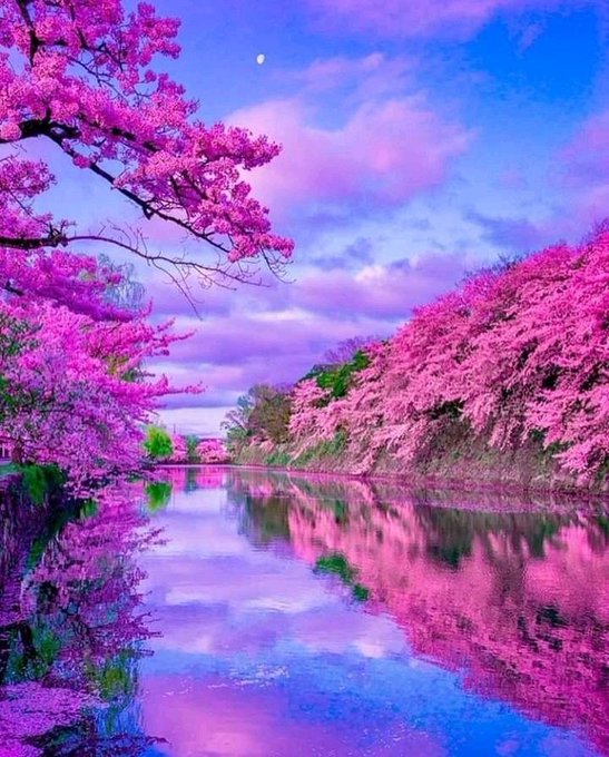 Nature Wonder tweet media