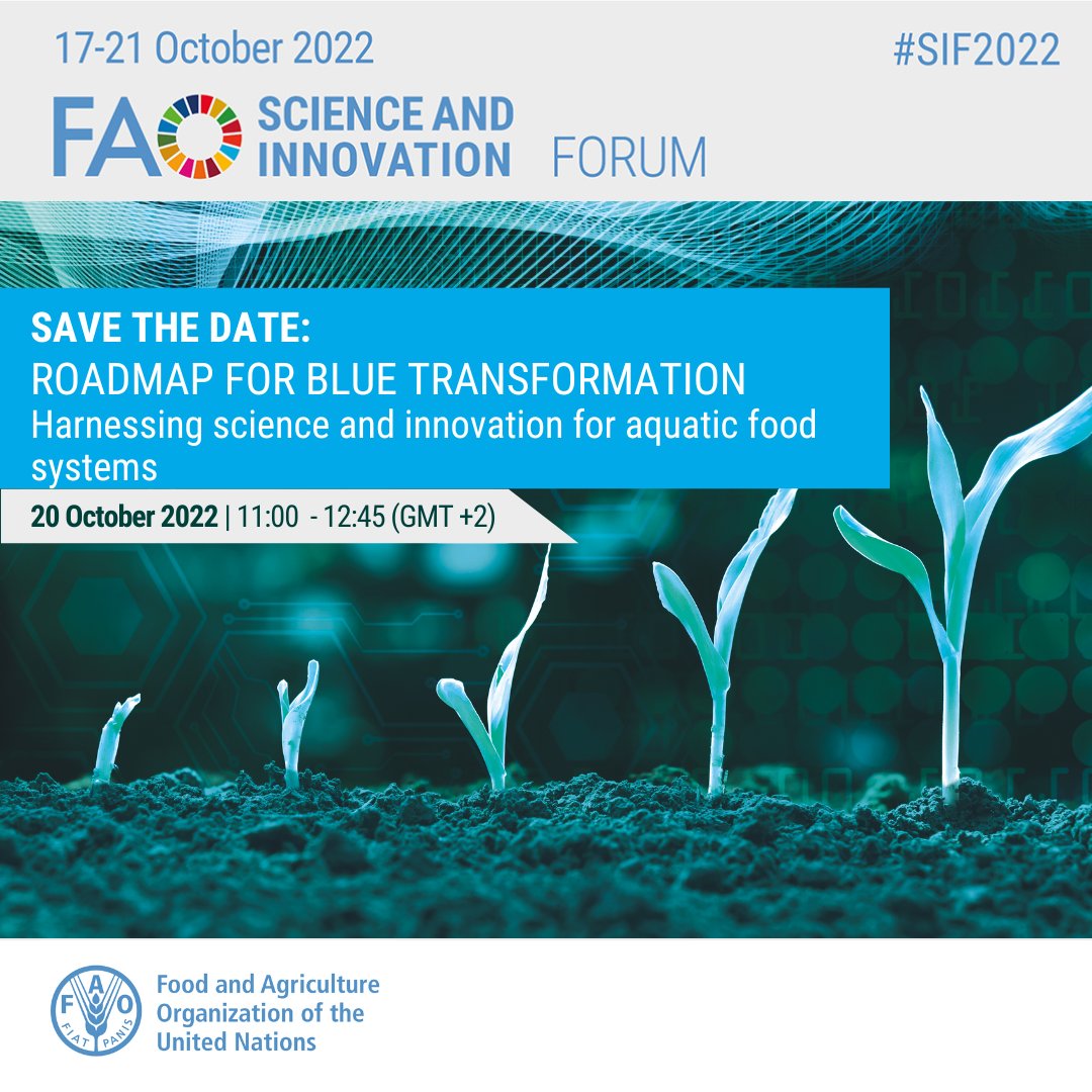 📢 SAVE THE DATE | #SIF2022 Join us at the Science & Innovation Forum as we discuss how science, technology & innovation can be leveraged to achieve sustainable aquatic #foodsystems - a #BlueTransformation 🌊 Register here 👉 bit.ly/3MoaEO2 🔗bit.ly/3T8J1dN