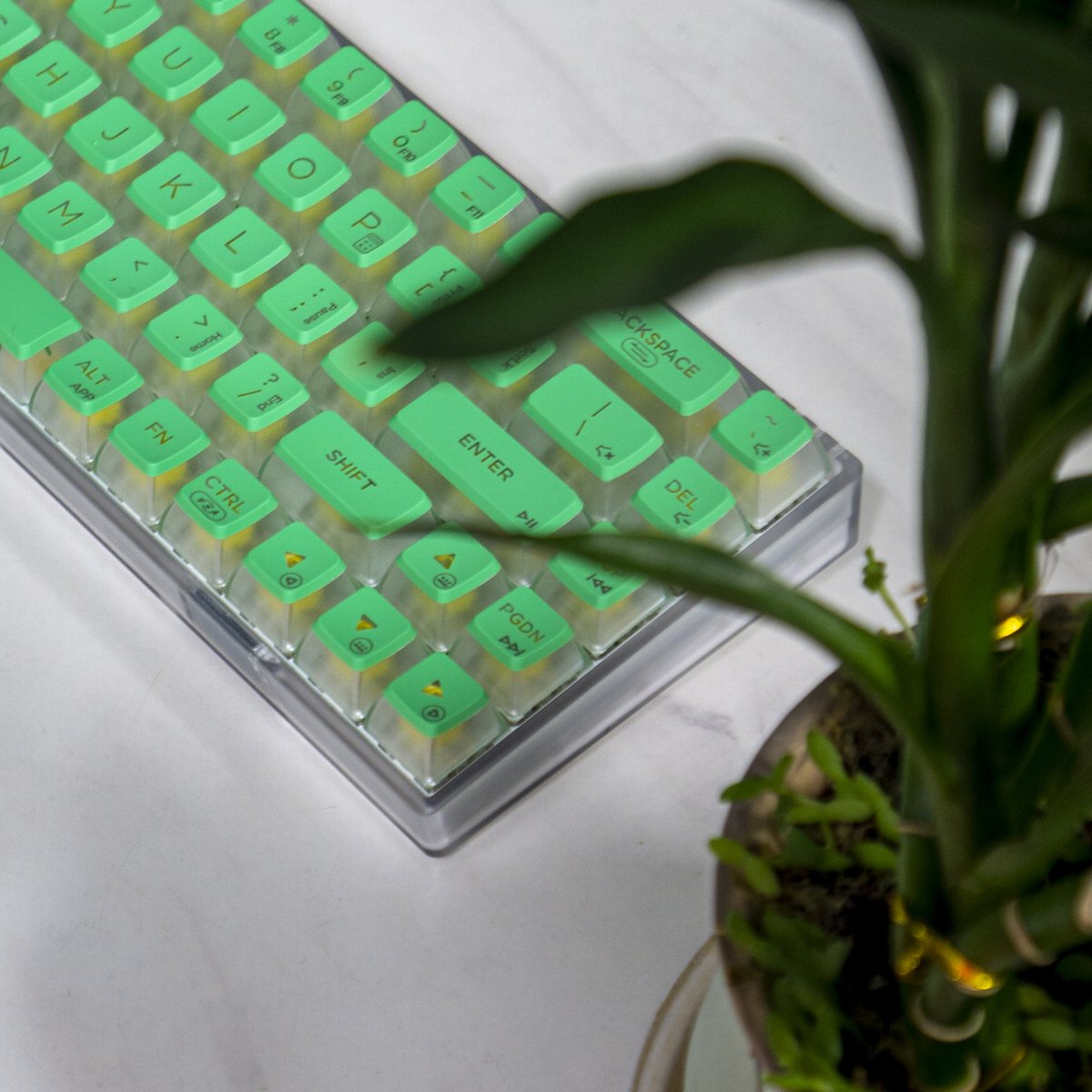 Hexgears1's tweet photo. #hexgears Soda68 #mechanicalkeyboard Mint Green
#kailh #keyboard #mechanicalkeyboards #keyboardpc #keycaps #customkeyboard #pcsetup #customkeycaps #keyboarddesign #customizedkeyboard #desksetup #puddingdesign #keeb #rgbkeyboard #rgb https://t.co/uBfCHHEyAf