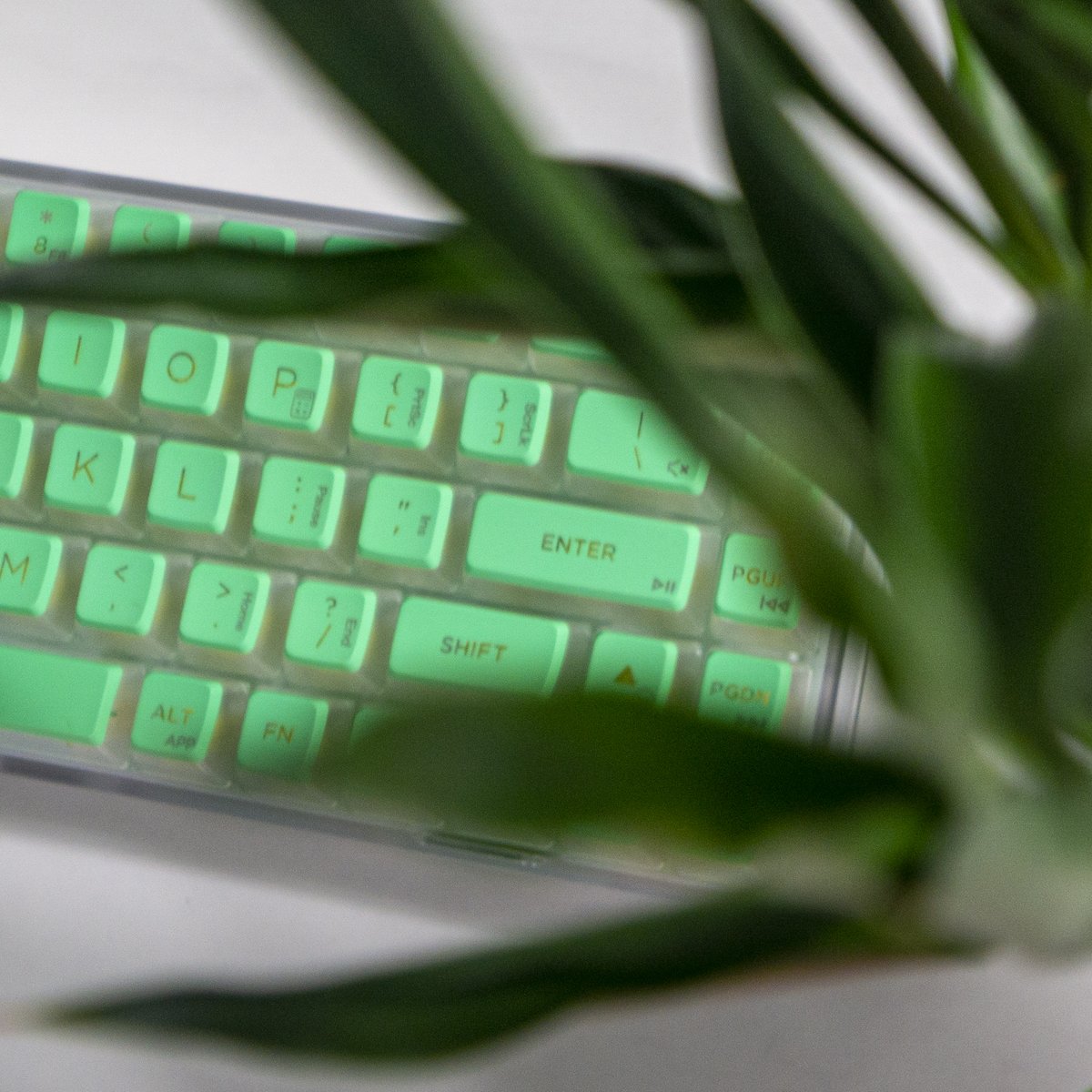 Hexgears1's tweet photo. #hexgears Soda68 #mechanicalkeyboard Mint Green
#kailh #keyboard #mechanicalkeyboards #keyboardpc #keycaps #customkeyboard #pcsetup #customkeycaps #keyboarddesign #customizedkeyboard #desksetup #puddingdesign #keeb #rgbkeyboard #rgb https://t.co/uBfCHHEyAf
