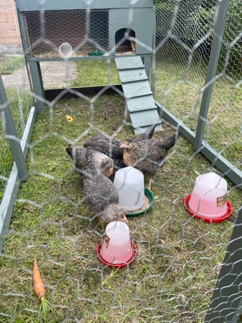 Keys Group tweet media