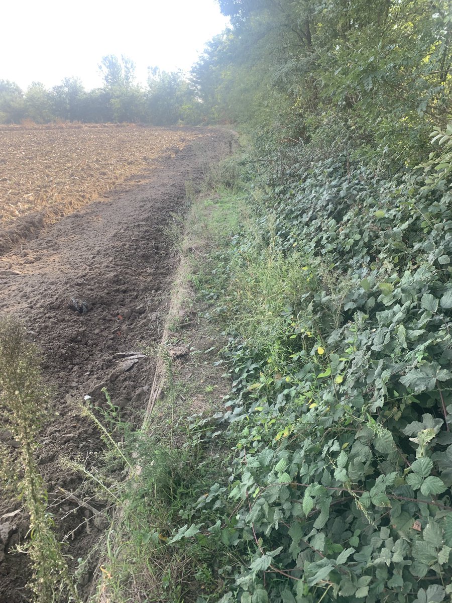 BromptonTrader's tweet photo. There’s a path here, honest 😂 https://t.co/upaOh2ZZ3S