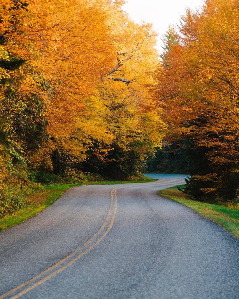 Down the Road | Blue Ridge Parkway | North Carolina

We'd pulled over to watch the sunset over the mountains, but this view was kind of nice too. instagr.am/p/CjkY2d4uW82/