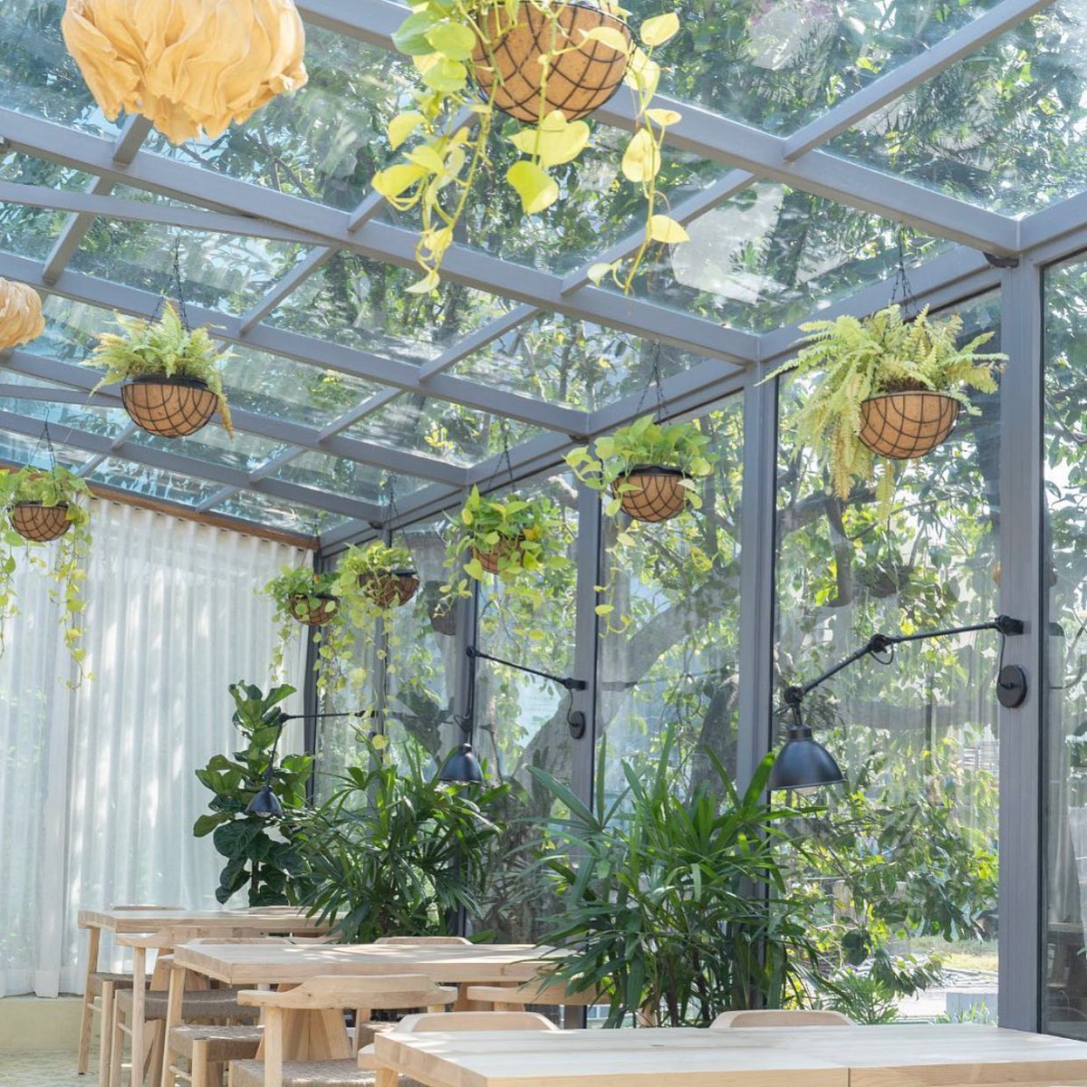 bpbmumbai's tweet photo. 🪴The folks at Joshi House (Bandra) cared for a new plant that’s now blooming in Juhu. The Conservatory allows you to fork salad and sip cocktails in a greenhouse style jungalow🪴 #NewOpeningAlert https://t.co/OhHrwNT1HZ