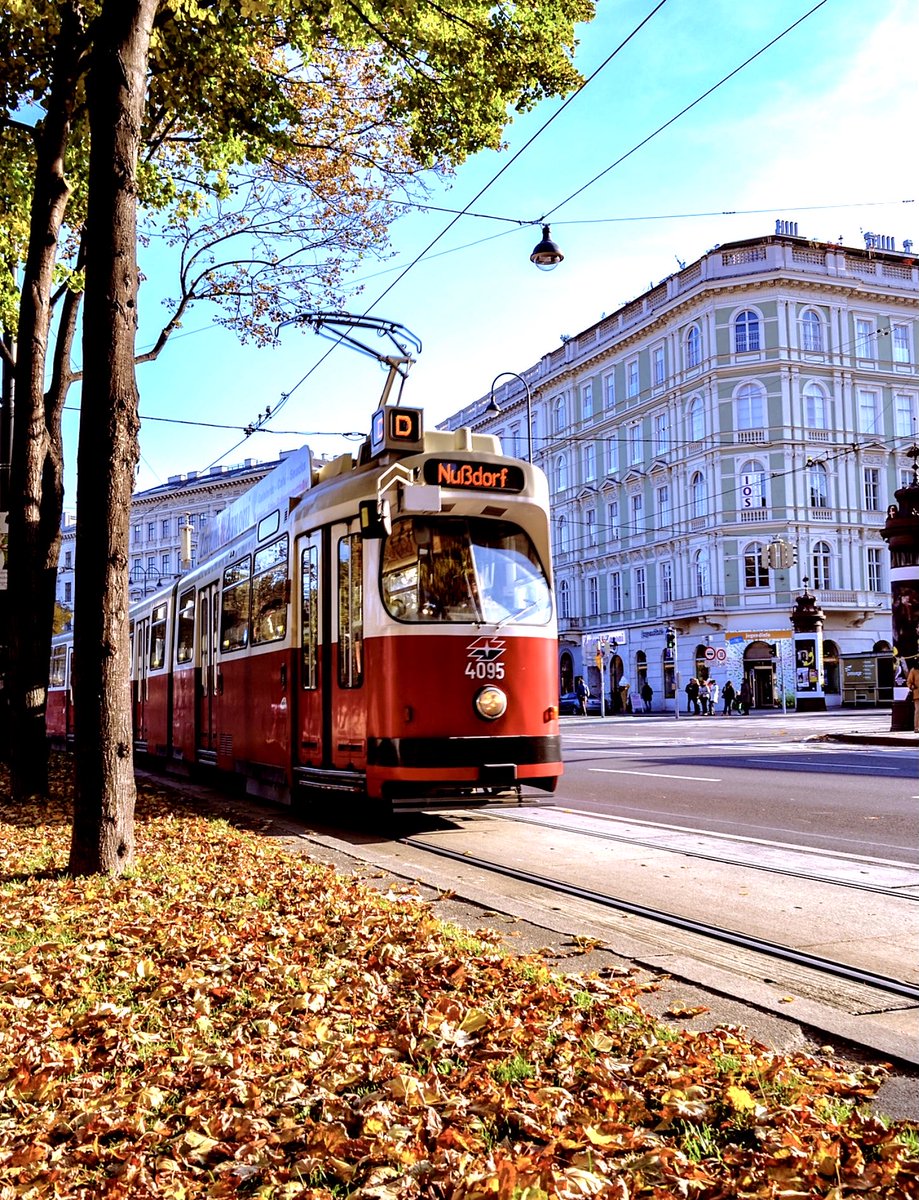 BenSostenuto's tweet photo. Good morning from Vienna ☕️ 🎶 
The D Straßenbahn on the famous Ringstraße in the first district. Have a lovely day! #OldVienna #FirstDistrict #Ringstraße #GoodMorning #AutumnInVienna #VPO https://t.co/4uhGOij6Jt