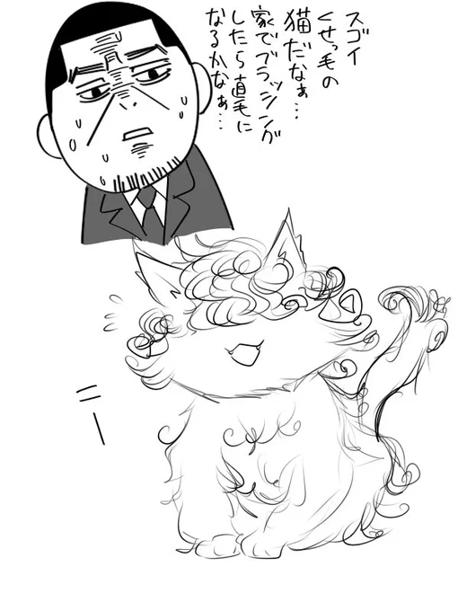 すごいくせっ毛の猫を拾う月島の現パロが見たいですね。※月いご 