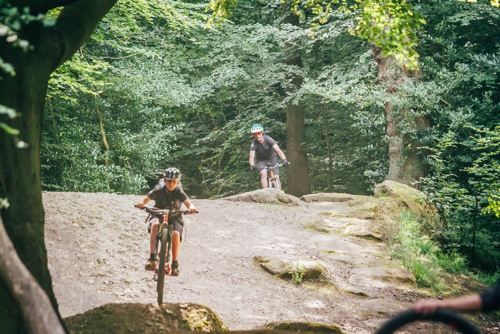 Cotic News tweet media