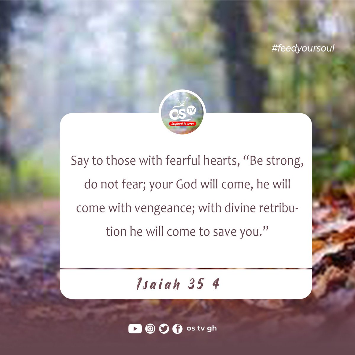 ostv_gh's tweet photo. #feedyoursoul https://t.co/4Ma7r9XAAG