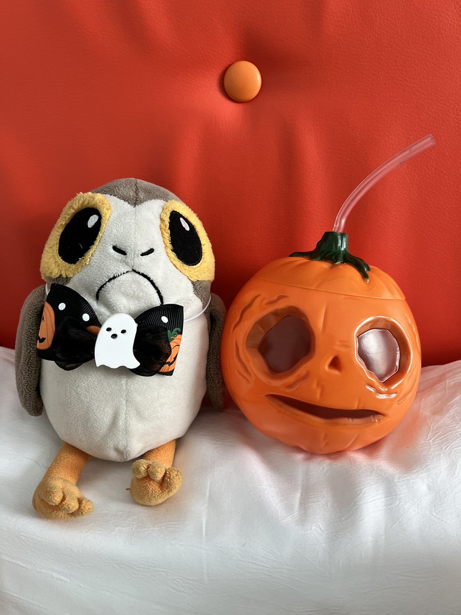 ParadisePorg's tweet photo. Chillin with Lil’ Boo 🎃 #lilboo #halloween #cabanabayresort #porg #porgs #porglife https://t.co/xERtFVFFht