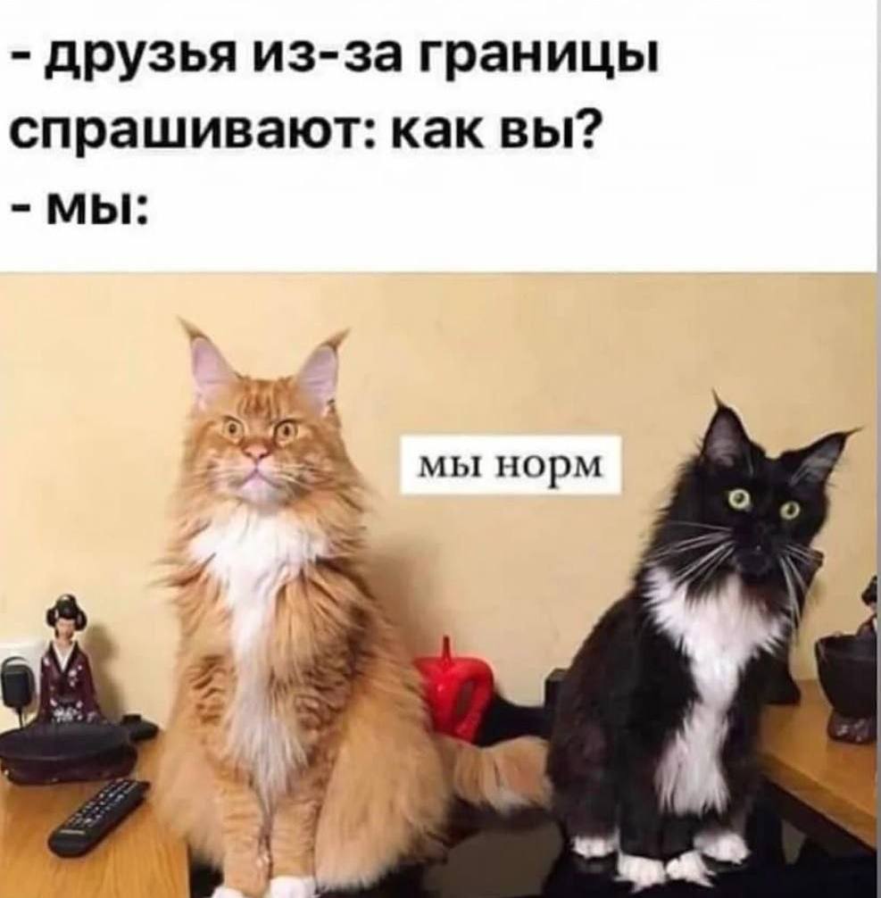 И вам доброго утра