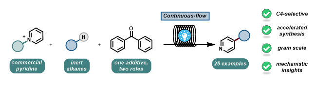 Noel Research Group tweet media