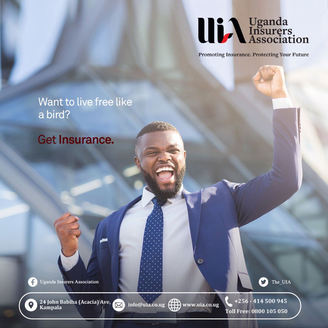 The_UIA's tweet photo. Do you want to live free like a bird ๐ฆ
this October?
Get insurance today!
๐https://t.co/XA1MtXDFtX
#UIA #Insurance #InsurancePolicy #GetInsurance #insuranceagent #chooseday https://t.co/mXL4ptEkIw
