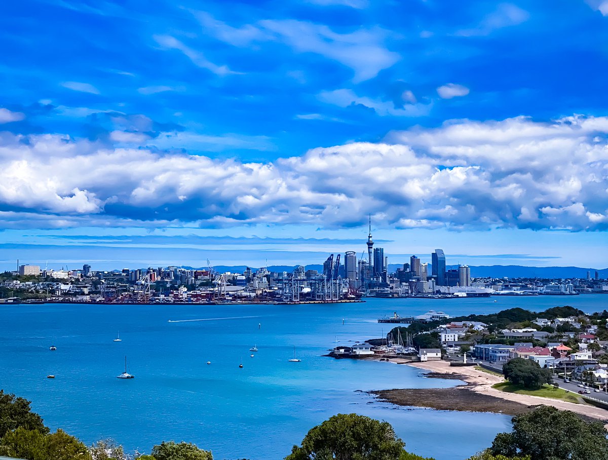 thelivewire72's tweet photo. Looking good Auckland #auckland #northhead #newzealand #spring https://t.co/rGiXDzujah