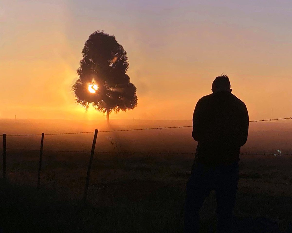 Euvrard_Loubser's tweet photo. 🎥 At #Inyoni Location Farm on the west coast of South Africa 🎬 #Onsetediting for Director Jean-Paul Malherbe ✂️🎞🎥
#iWorkcase setup💃🏽
Using Final Cut Pro on a maxed out M1Max for ingests management and first assemblies🏃♂️💨
#fashionshoot #onlocation #filmmaking #editor #DPlife https://t.co/5RZL6lCV9z