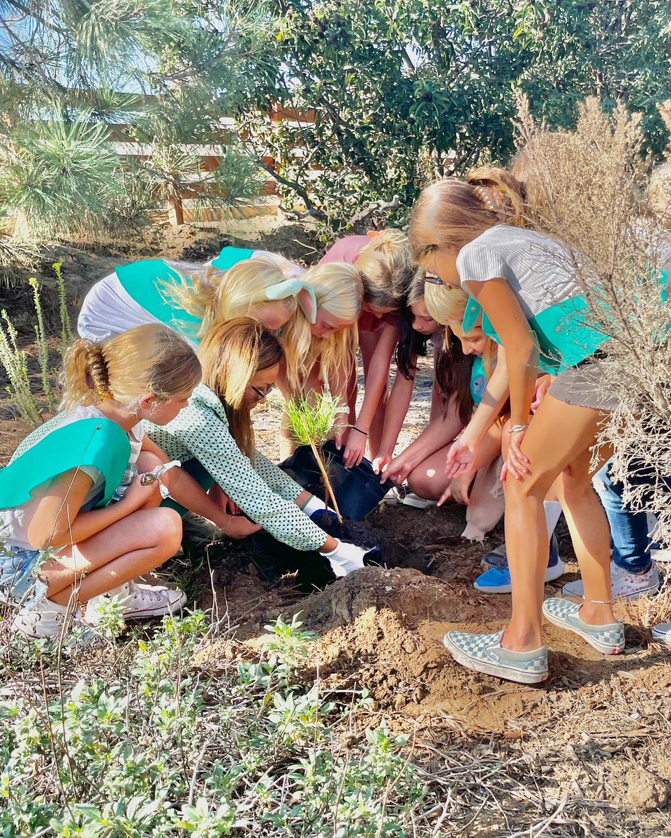 LenaEvans88's tweet photo. Awesome day with
#GirlScout #Troop1790: teaching them how #TorreyPine is critically #endangered only living in CA #SanDiego and #SantaRosaIsand.
8 #seedlings planted at @carlsbad_lagoon.
Honored to plant with dear Jean George, @NedaNews8 & Roya! Support: https://t.co/4SwABfPDDk https://t.co/qxlNNUuvuJ